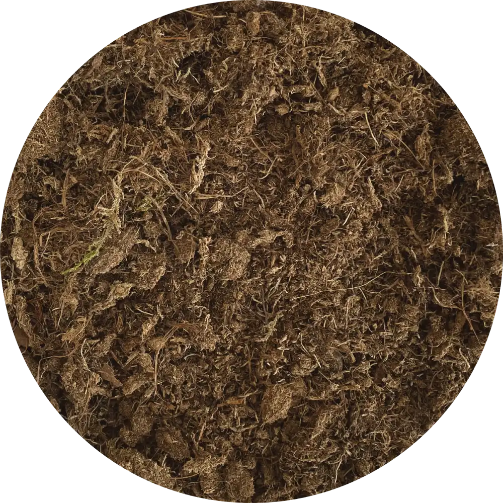 99676 BIOPROFFA RAHKASAMMAL DETAIL TRANSPARENT CIRCLE 1000px web