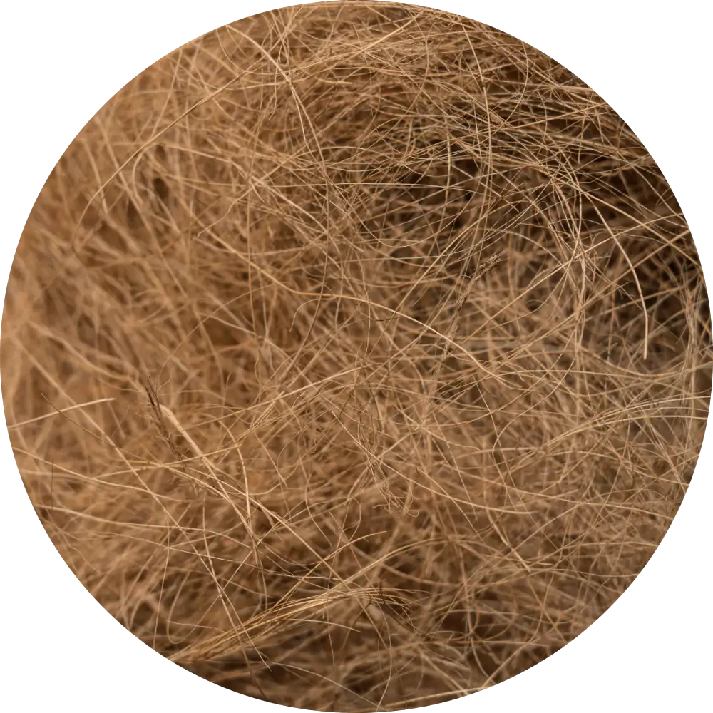 Coconut Fiber Round Trans WEB
